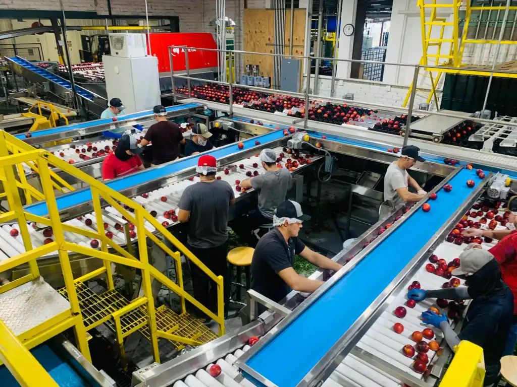 贵州楚峰源环境工程有限公司污水处理设备技术规格与选型指南